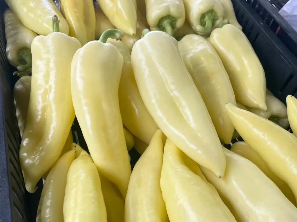Paprika friss fogyasztásra